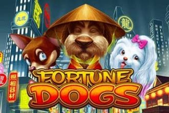 Fortune Dogs